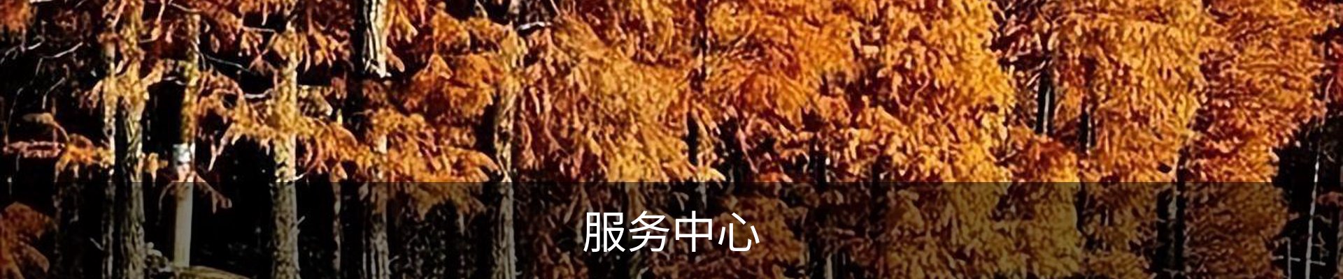 服务中心
